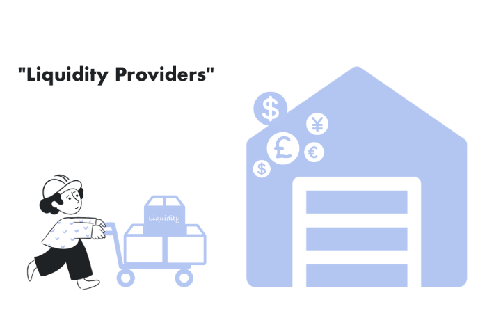 Liquidity Provider Defined
